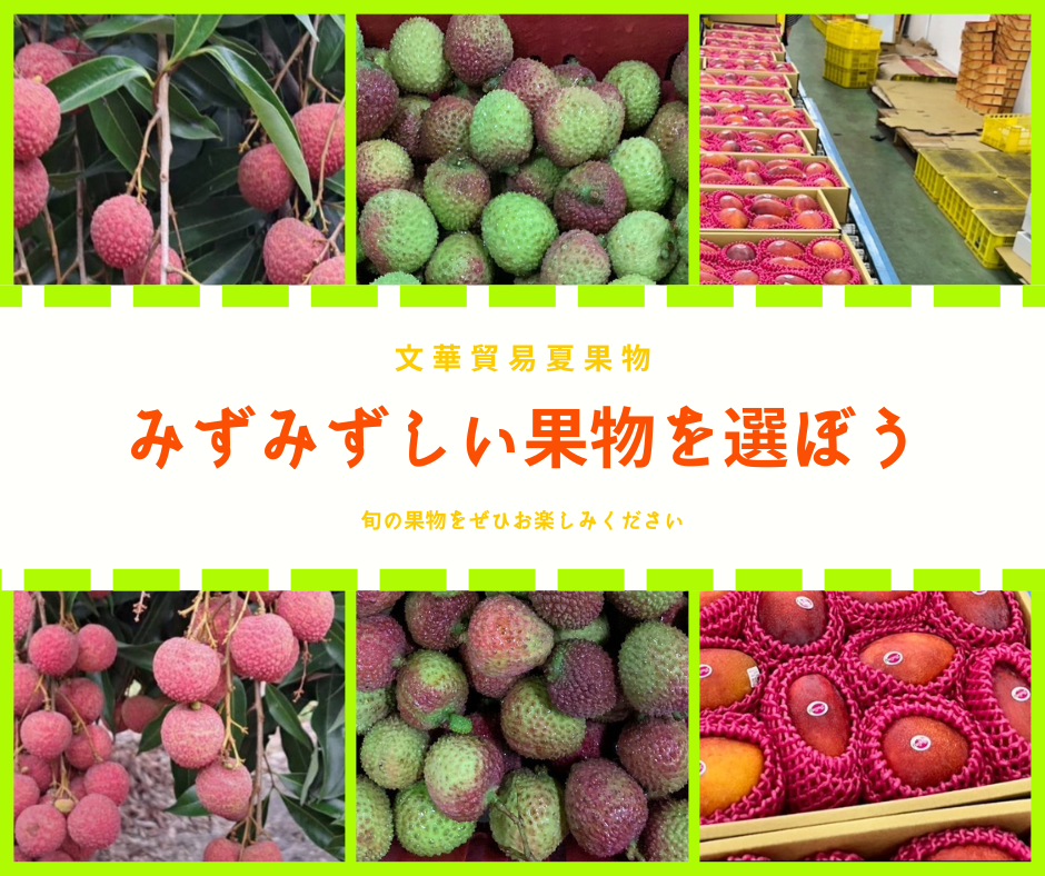 台湾産ライチ&アップルマンゴー直送 | 新鮮なフルーツを今すぐ注文!台灣直送|黑葉荔枝・玉荷包・愛文芒果 | 台灣產荔枝&愛文芒果直送 ...