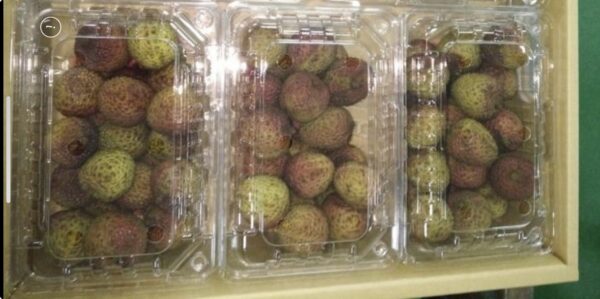 台灣產玉荷包荔枝1.5公斤（3盒裝）(台幣2400元)